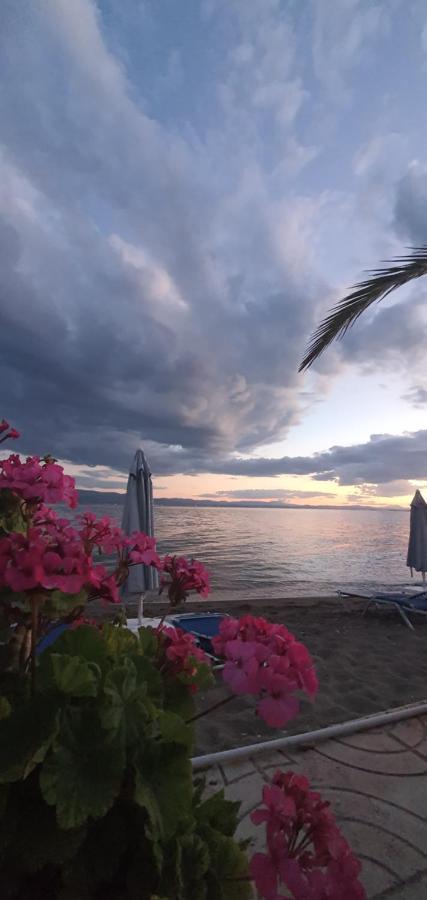 Hotel Artemis Amarynthos