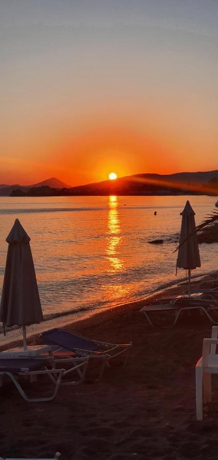 Hotel Artemis Amarynthos