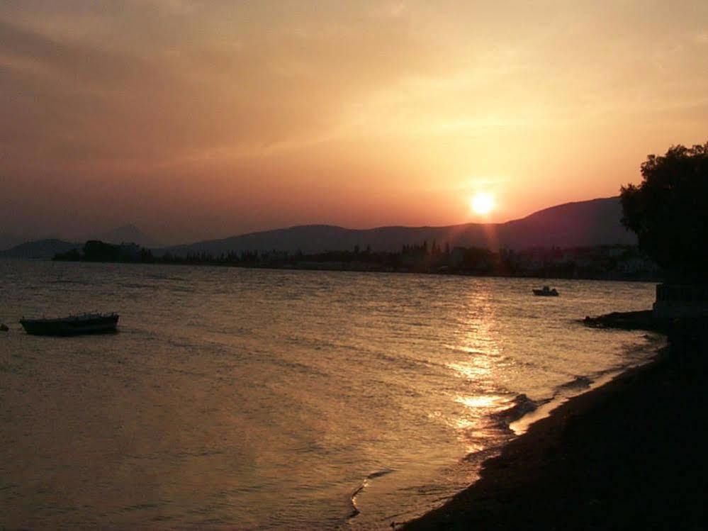 Artemis 2* Amarynthos
